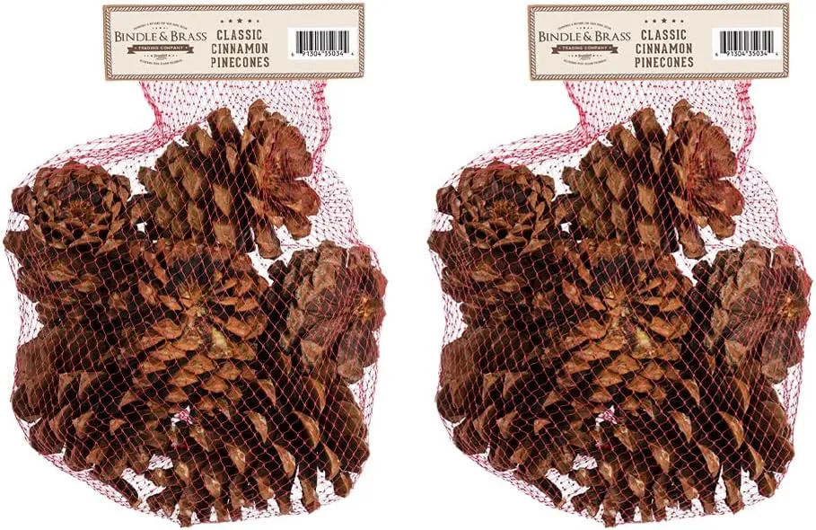 Cinnamon Scented Pinecone Bag (2-Pack)