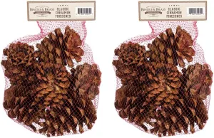 Cinnamon Scented Pinecone Bag (2-Pack)