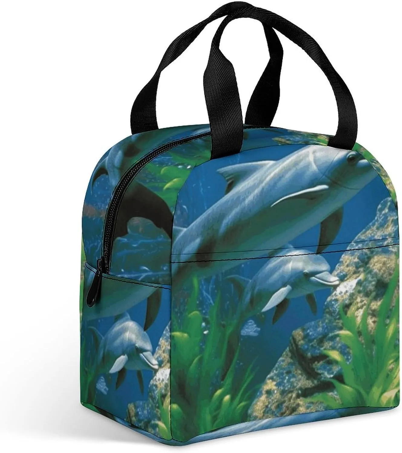 Lunch Bag for Women Men Insulated Lunch Box Aquatic Biologicals Lunch Containers Reusable Lunch Tote Bags