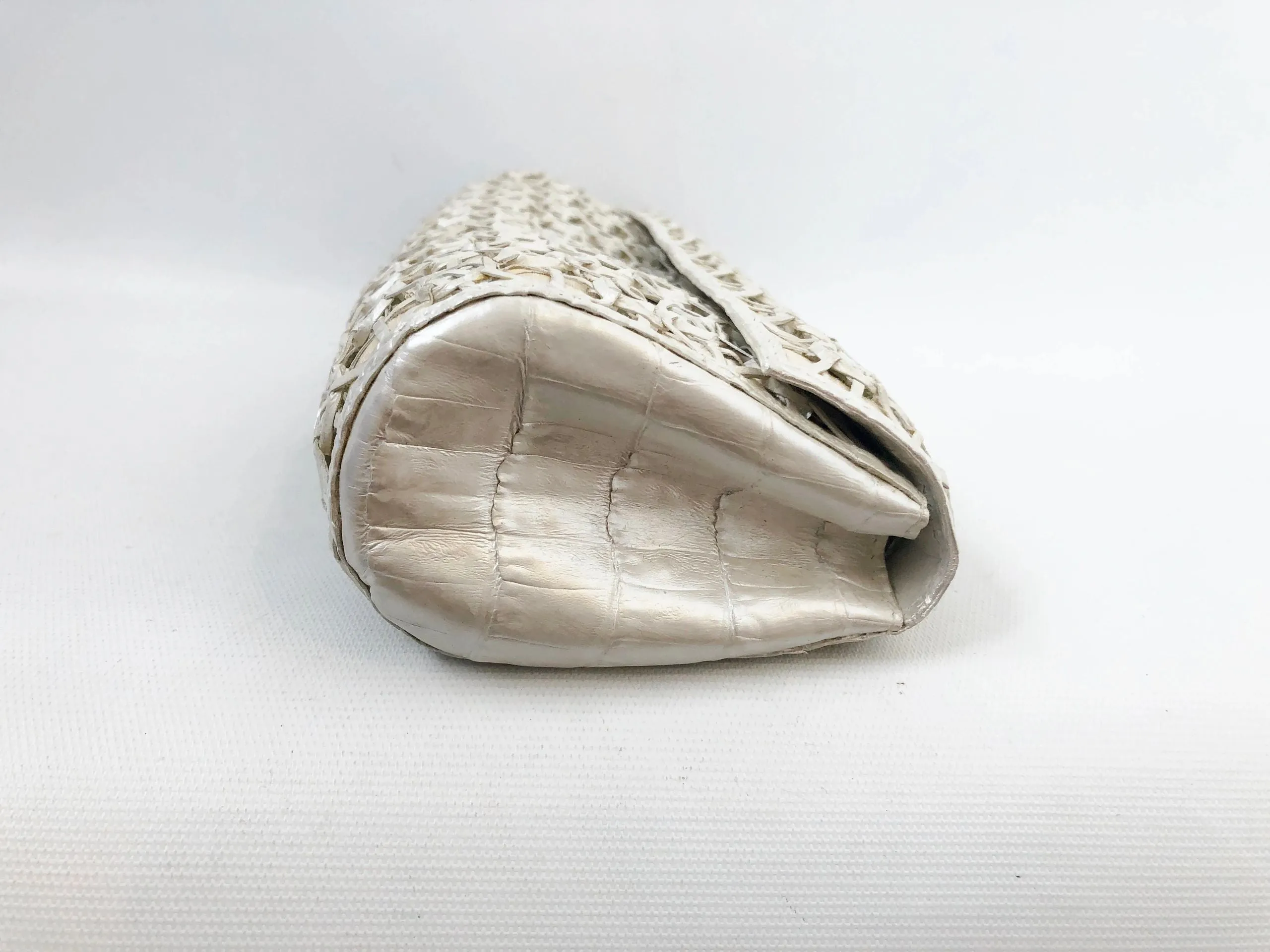 NEW Nancy Gonzalez Mirrored Crocodile Clutch