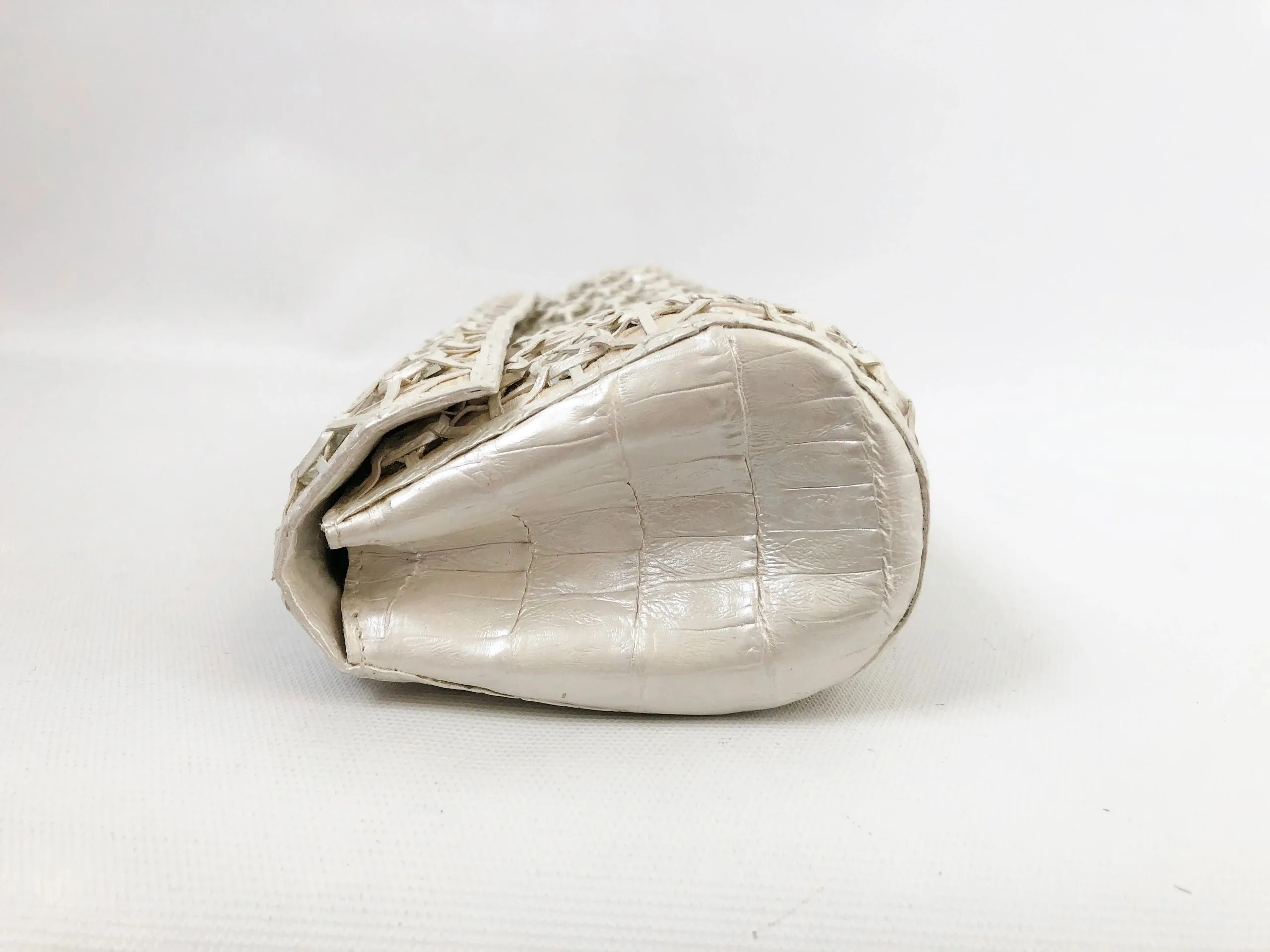 NEW Nancy Gonzalez Mirrored Crocodile Clutch