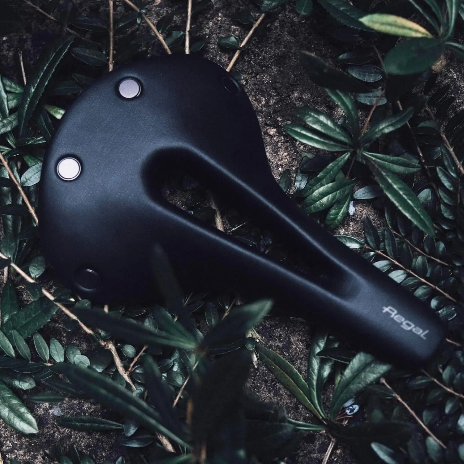 Selle San Marco Regal Short Dynamic