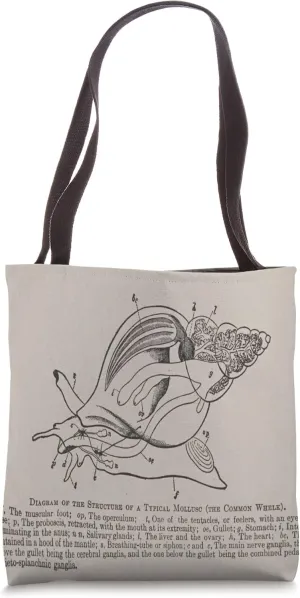 Vintage Conch Shell Cross Section Diagram Tote Bag