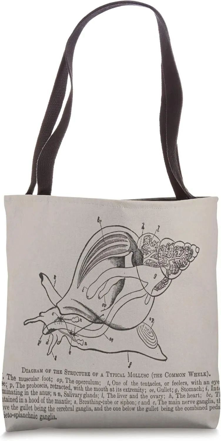 Vintage Conch Shell Cross Section Diagram Tote Bag